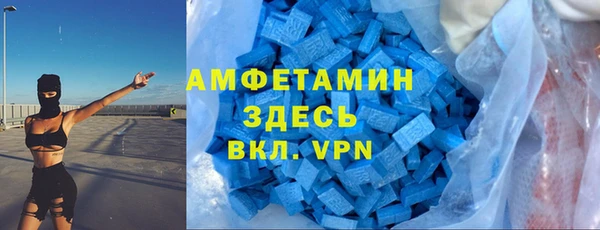 шишки Абаза