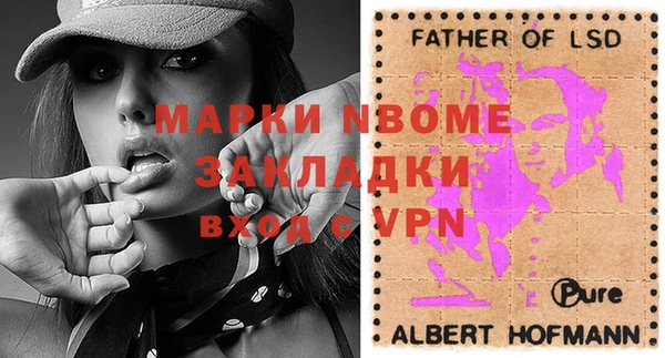 шишки Абаза