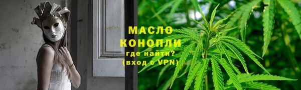 шишки Абаза