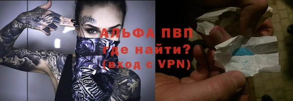 шишки Абаза