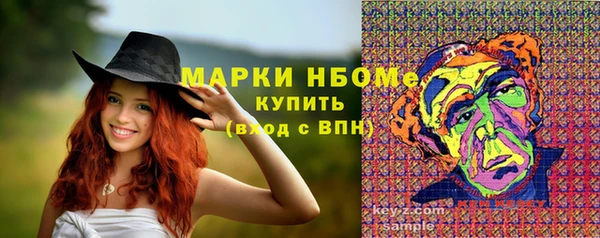 шишки Абаза