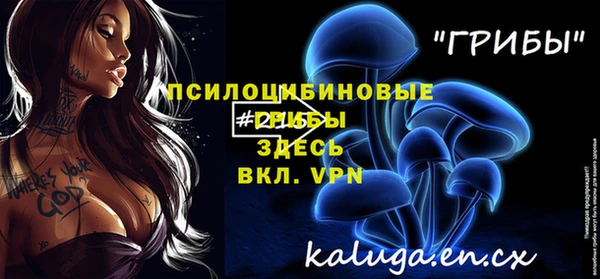 шишки Абаза