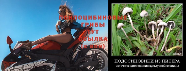 прущий лед Абинск