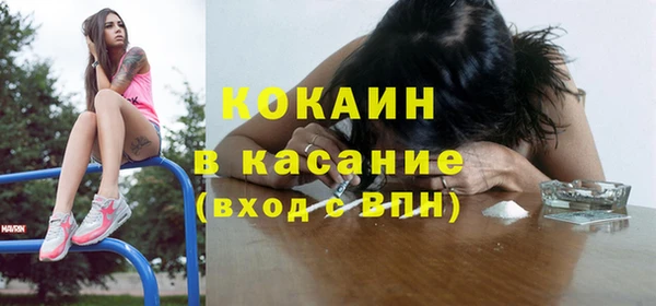 шишки Абаза