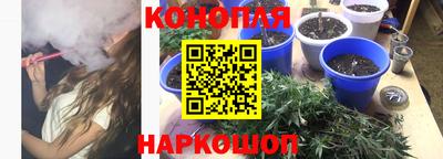 эйфоретик Малгобек