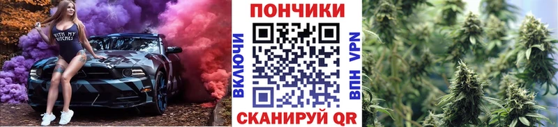 МАРИХУАНА план  Владикавказ 